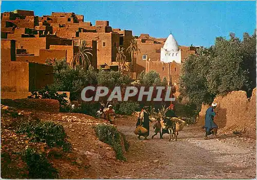 Cartes postales moderne Le Maroc Pittoresque Tinerhir Ane Donkey