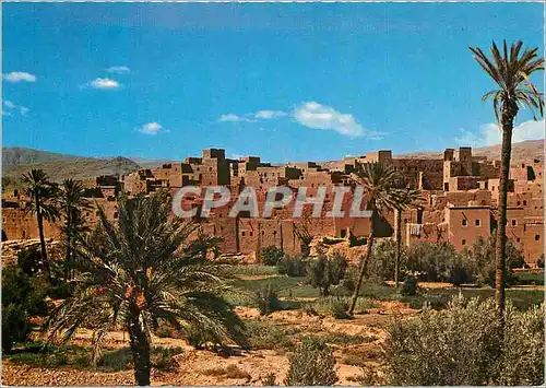 Cartes postales moderne Le Maroc Pittoresque Tinerhir