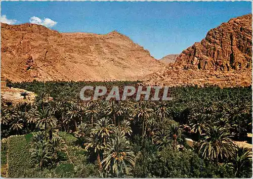 Cartes postales moderne Le Maroc Pittoresque Tinerhir Gorges du Todra