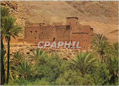 Cartes postales moderne Tenerhir Kasbah Les Gorges du Toundra