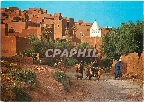 Moderne Karte Le Maroc Pittoresque Tinerhir Ane Donkey