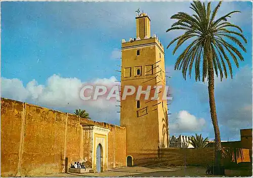 Cartes postales moderne Tiznit La Mosquee