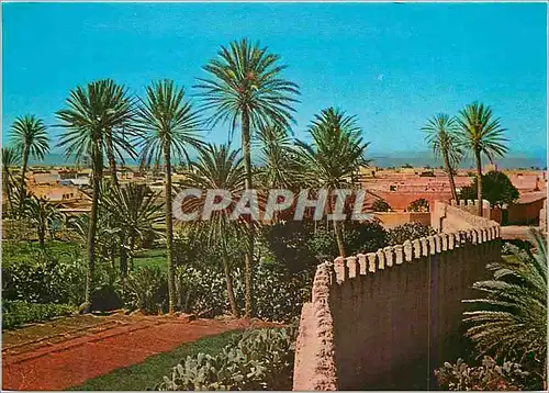 Cartes postales moderne Le Maroc Pittoresque Tiznit