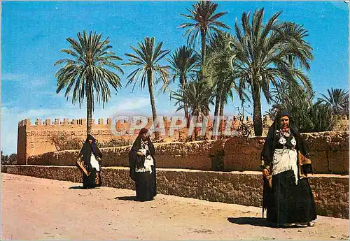 Cartes postales moderne Le Maroc Pittoresque Tiznit