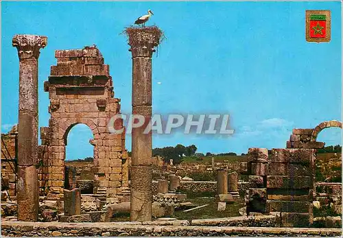 Cartes postales moderne Volubilis Ruine du Temple