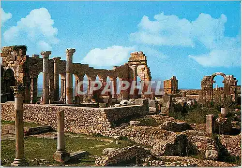 Cartes postales moderne Volubilis Vue de la face interne de la Basilique Civile