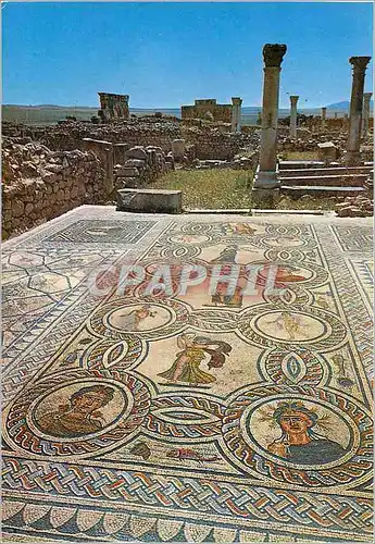 Moderne Karte Volubilis Mosaique de la Maison d'Orphee