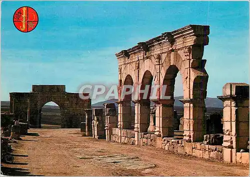 Cartes postales moderne Volubilis Portique et Arc de Triomphe vus du decomanus maximus