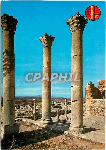 Cartes postales moderne Volubilis Basilique Judiciaire vue du Temple du Capitol