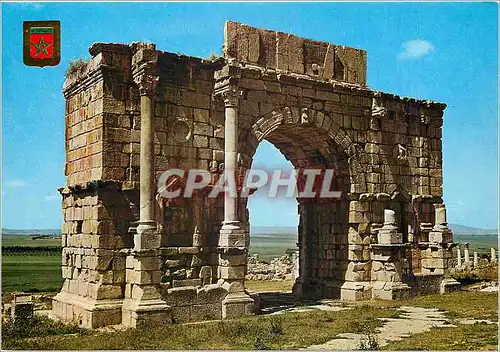 Cartes postales moderne Volubilis