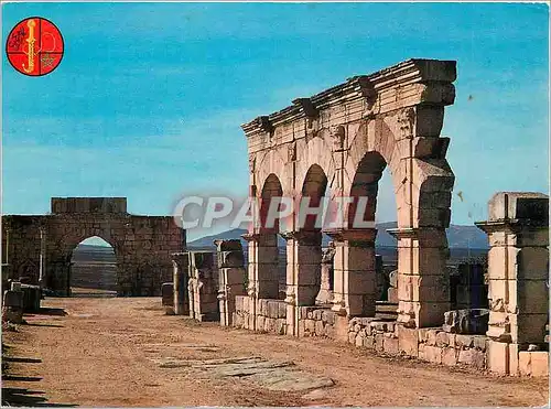 Cartes postales moderne Volubilis Partique et Arc de Triomphe vus du decomanus maximus