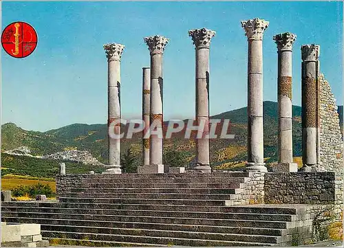 Cartes postales moderne Volubilis Le Temple du Capitole