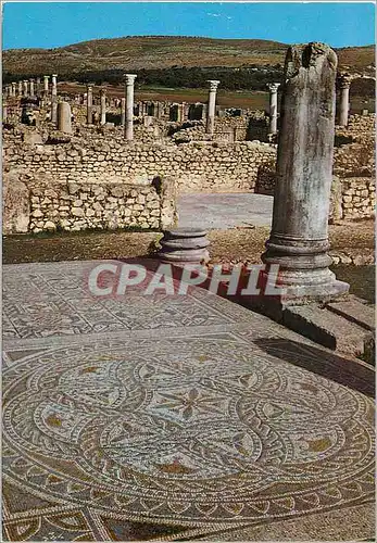 Cartes postales moderne Volubilis Maison aux Travaux d'Hercule