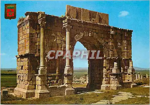 Cartes postales moderne Volubilis