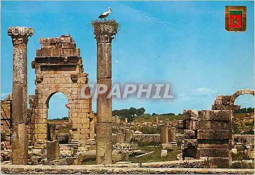 Moderne Karte Volubilis Ruines du Temple