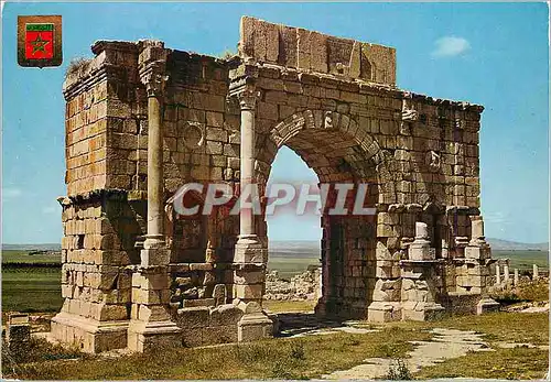 Cartes postales moderne Volubilis