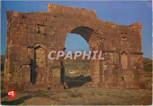 Cartes postales moderne Volubilis Basilique et le Capitol