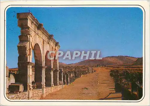 Cartes postales moderne Volubilis Porte de Tanger bordee par le Palais du Gouverneur