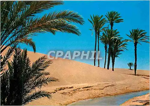 Cartes postales moderne Zagora Amziou Dunes de Sable