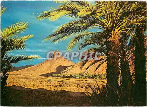 Cartes postales moderne Zagora Coucher du Soleil