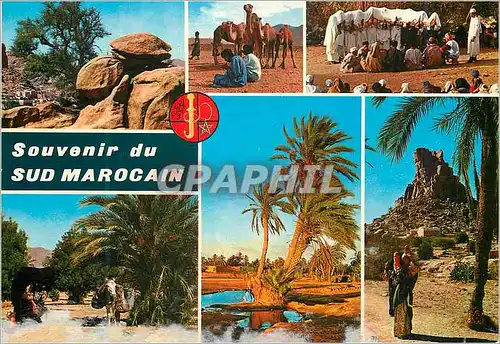 Cartes postales moderne Souvenir du Sud Marocain