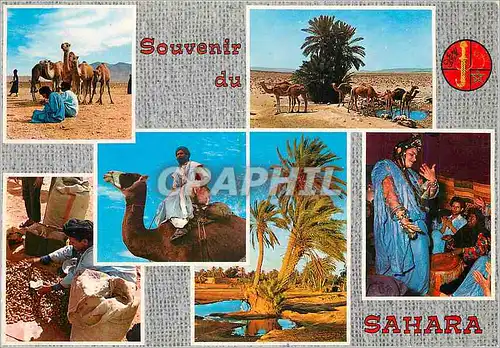 Moderne Karte Souvenir du Sahara