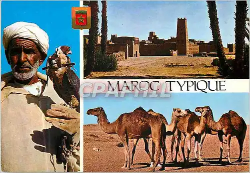 Moderne Karte Maroc Typique