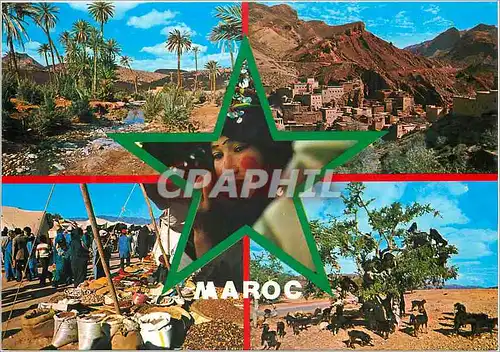 Cartes postales moderne Maroc