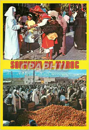 Cartes postales moderne Souvenir du Maroc