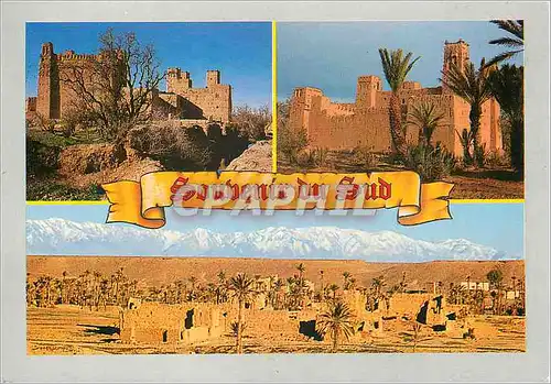 Cartes postales moderne Souvenir du Sud