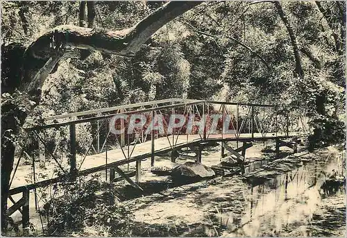 Cartes postales moderne Ifrane Un Pont sous bois