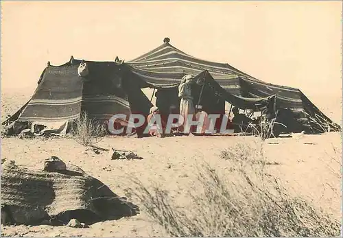 Cartes postales moderne Bedouins Tente