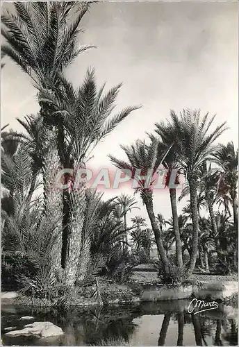 Moderne Karte Paysage du Sud Marocain