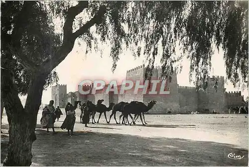 Moderne Karte L'Afrique Une Citadelle