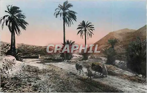 Moderne Karte Scenes et types du Maroc Types du Sud Sur la Piste