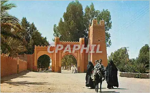 Cartes postales moderne Sud marocain porte d'entree Ane Donkey