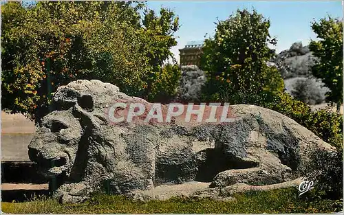 Moderne Karte Ifrane le lion