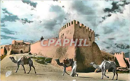 Cartes postales moderne Sciences et types l'entree de la casbah