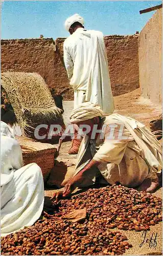 Cartes postales moderne Souk des daltes a goulmine