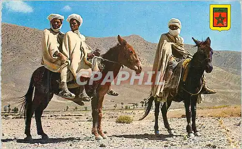 Moderne Karte Sud marocain cavaliers berberes