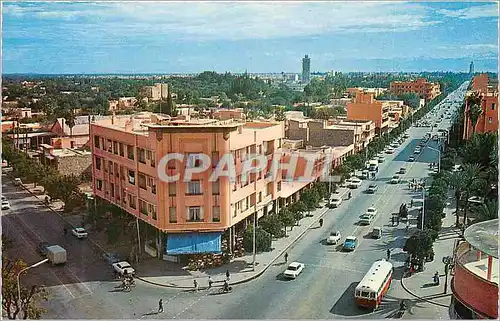 Cartes postales moderne Marrakech vue panoramique