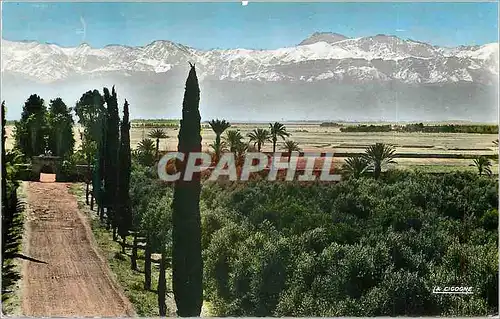 Cartes postales moderne Marrakech l'atlas vue de la menara