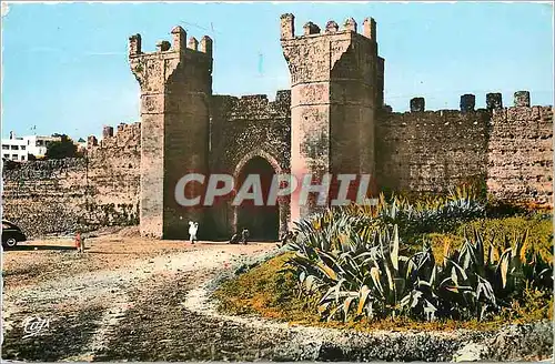 Cartes postales moderne Rabat la porte du chellah