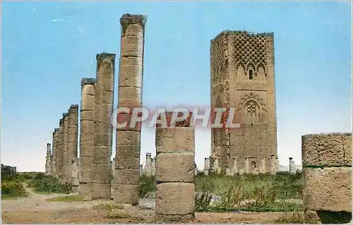 Cartes postales moderne Rabat la tour hassan