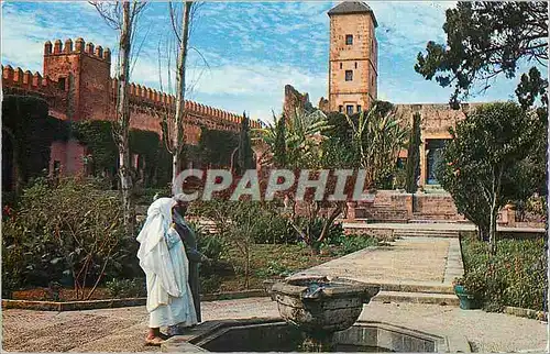 Cartes postales moderne Rabat le jardins des oudaias