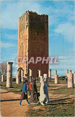 Cartes postales moderne Rabat la tour hassan