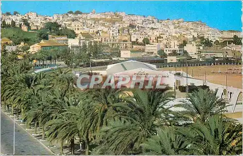 Cartes postales moderne Tanger avenue d'espagne