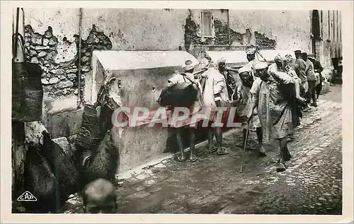 Cartes postales moderne Scenes et types du maroc porteurs d'eau au maroc