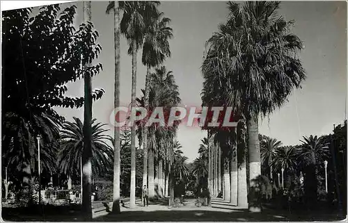 Cartes postales moderne Melilla parque hernandez paseo lateral