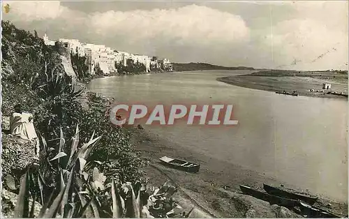 Cartes postales moderne Azemmour panorama sur l'oum er rebia